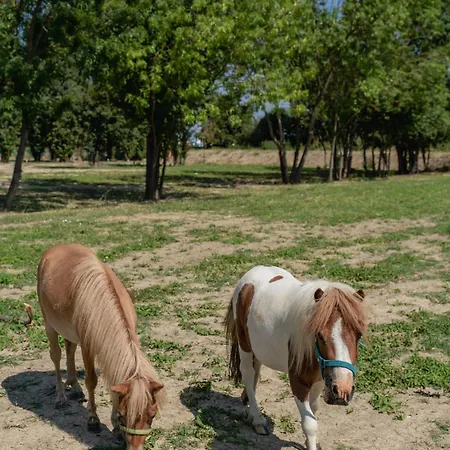 Апартаменты Iris Модена