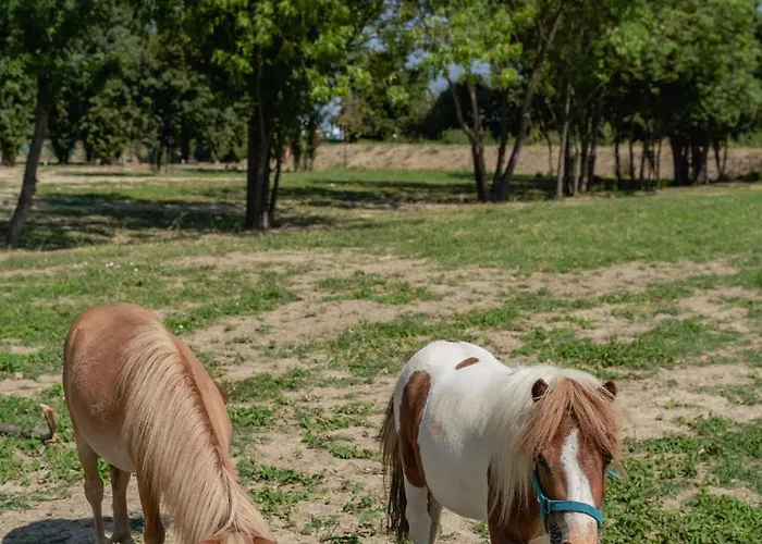 Appartement Iris Modène
